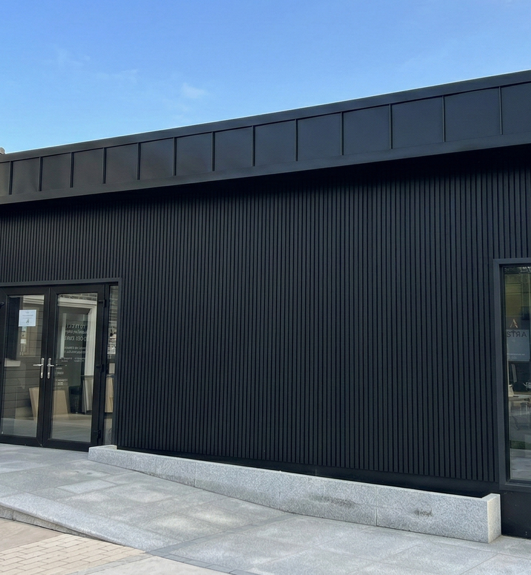 Steel frame house extension with modern design